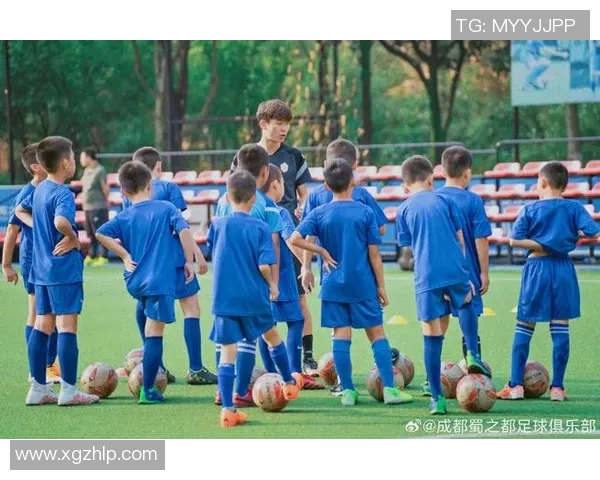 深度对话王磊足球人生背后的故事与梦想探索