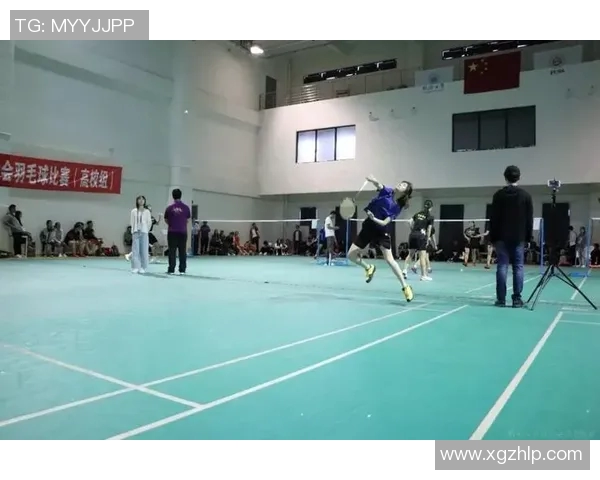南京羽毛球队转型之路的挑战与机遇全景揭秘